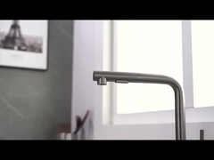 Torneira suspenso da cozinha do pulverizador do Único-punho SUS304 com dois função Sprayhead